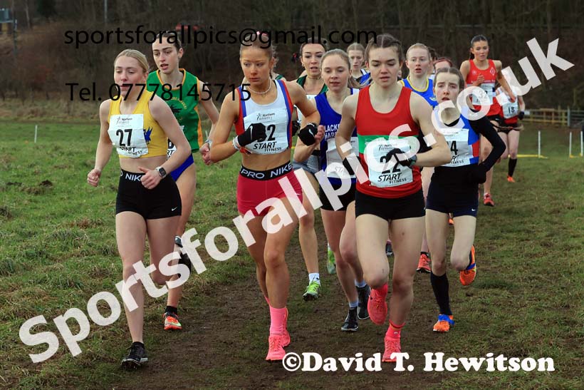 Junior Womens 2024 Northern Cross Country Champs., Sedgefield. Photo: David T. Hewitson/Sports for All Pics